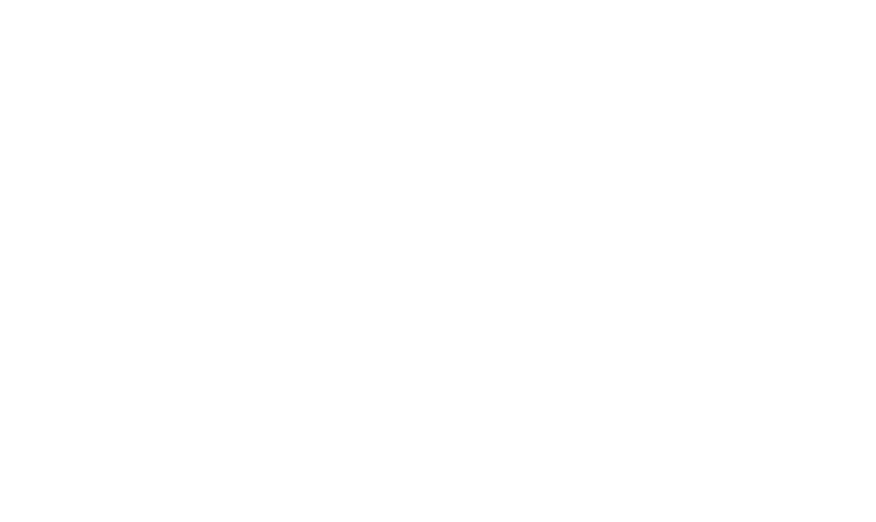 logo Prolink